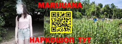 твердый Новозыбков